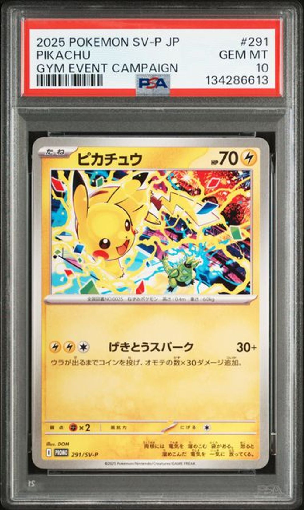 2025 ピカチュウ GYM EVENT CAMPAIGN #291 PSA10 PSA 10] 2025 POKEMON JAPANESE SV-P PROMO #291 PIKACHU GY