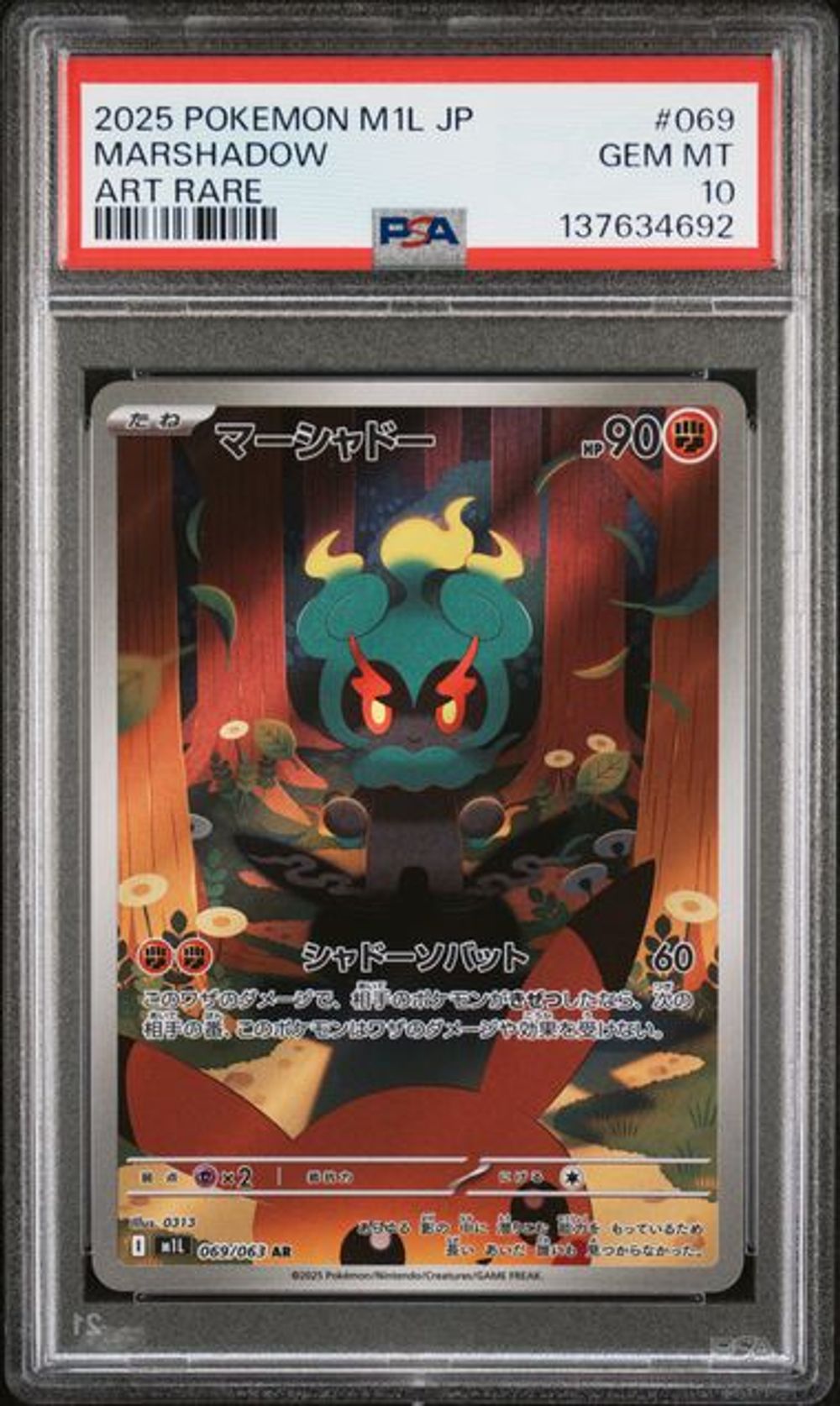 ポケモンカード 香港｜Pokemon TCG 日本語版・繁体字中国語版 現品