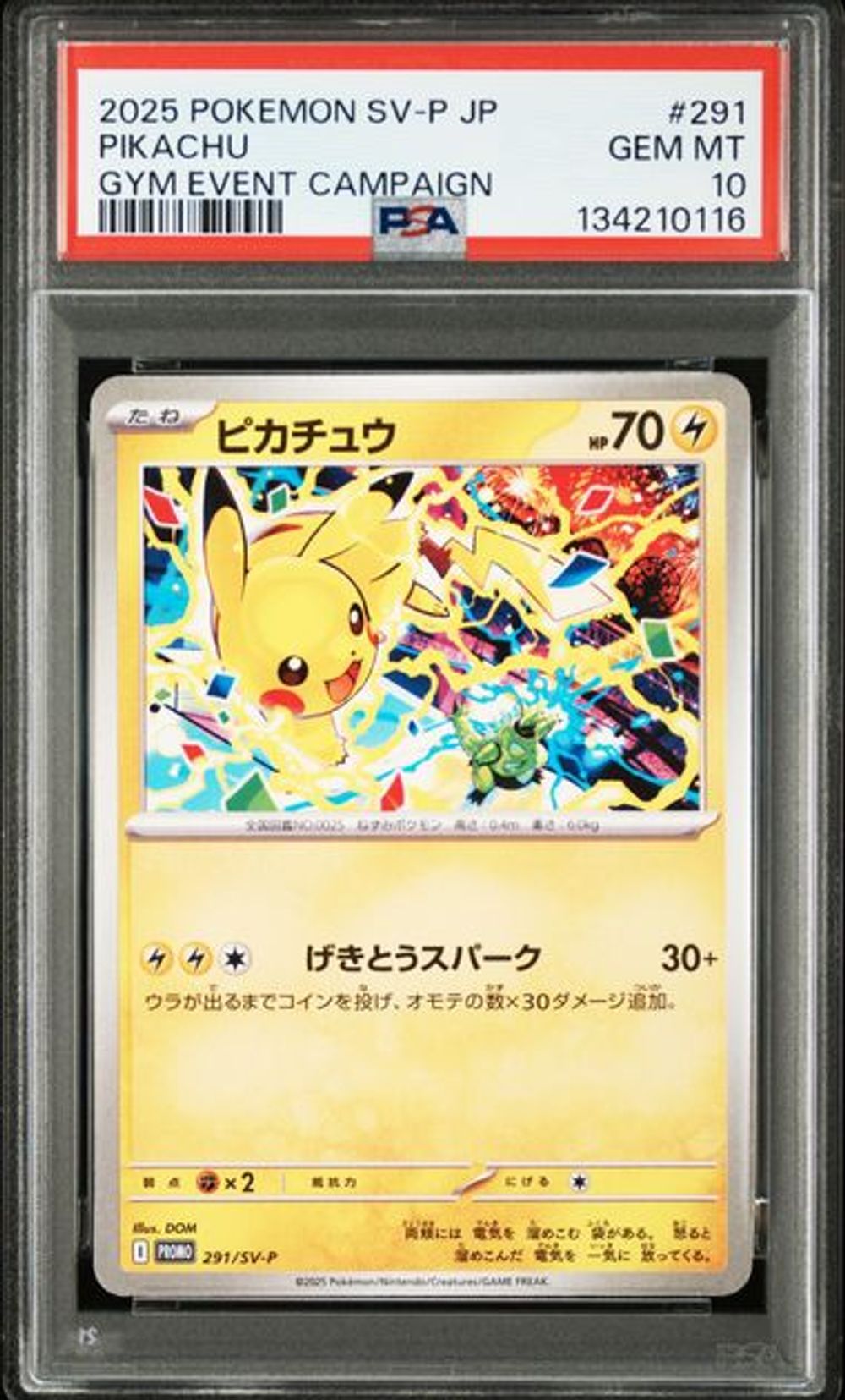 PSA 10] 2025 ポケモン 日本語 SV-P プロモ #291 ピカチュウ GY