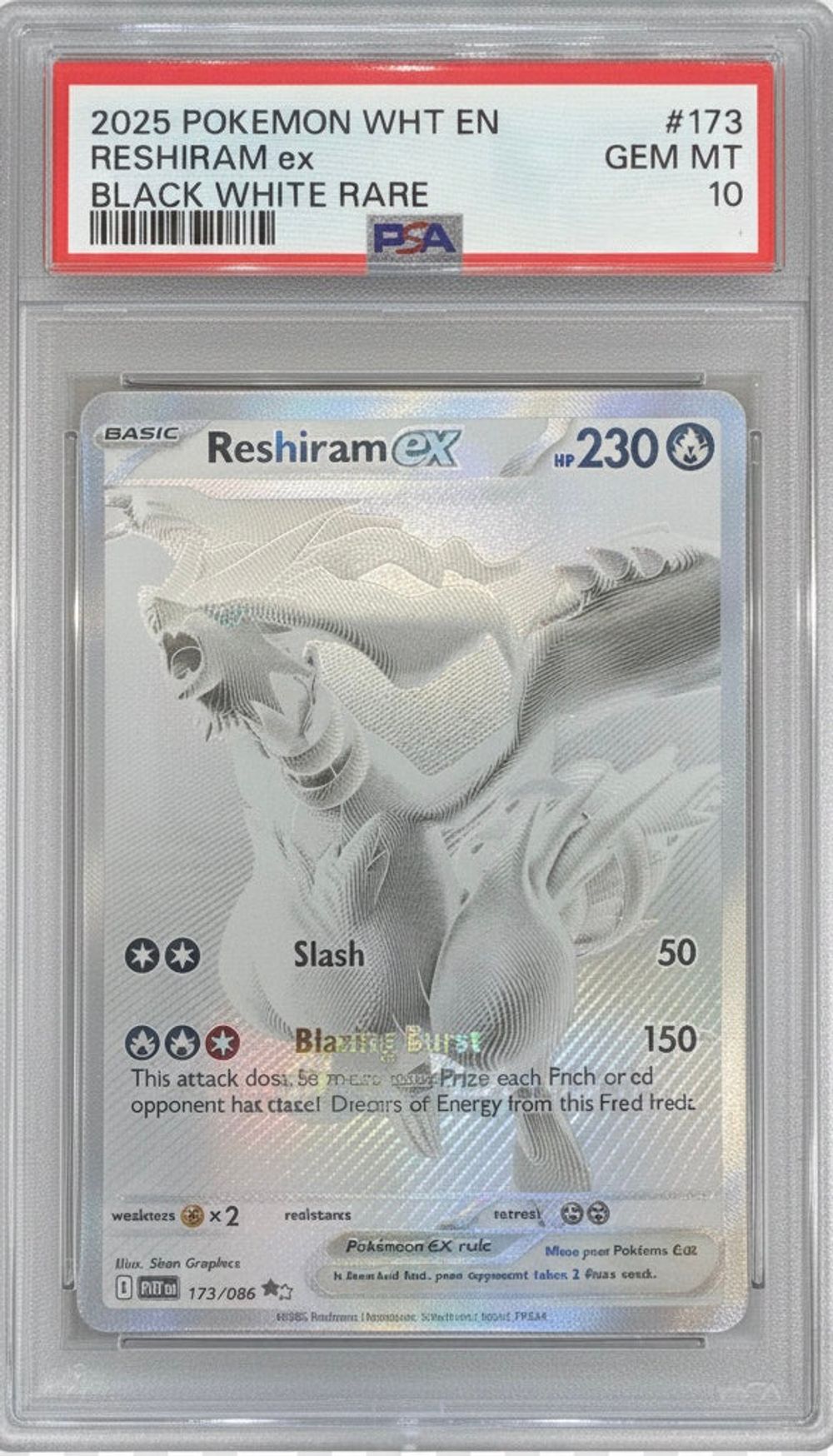 Pokémon Grading Card – Page 95 – MOONROAD CARD STORE
