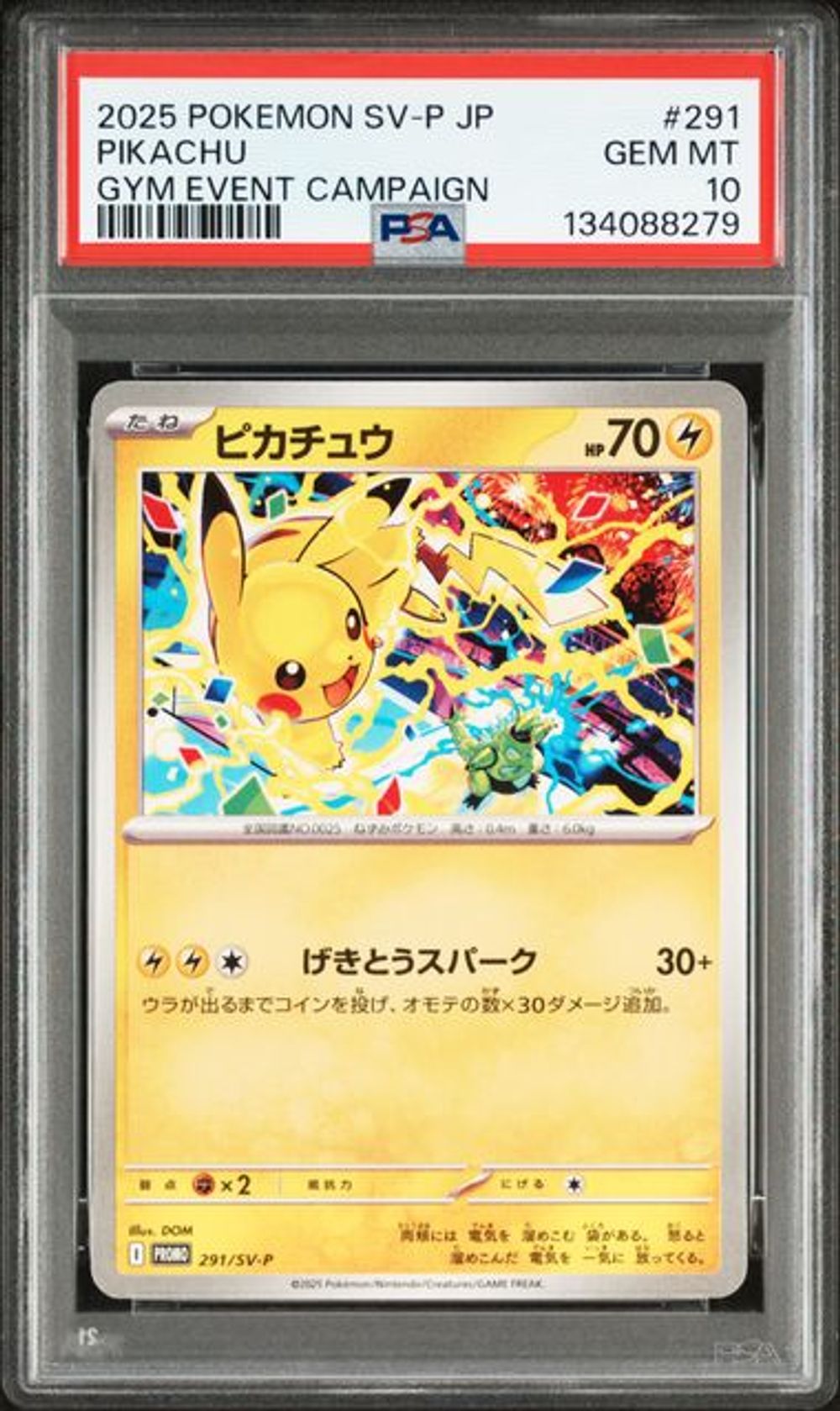 PSA 10] 2025 ポケモン 日本語 SV-P プロモ #291 ピカチュウ GY