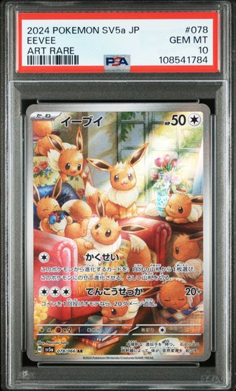 ポケモンカード 香港｜Pokemon TCG 日本語版・繁体字中国語版 現品